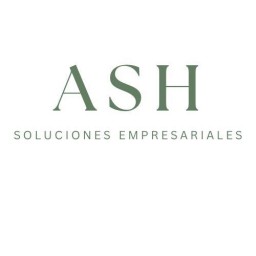 ASH Soluciones Empresariales